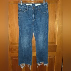 Anthro Pilcro High Rise Cropped Flare Jeans 27